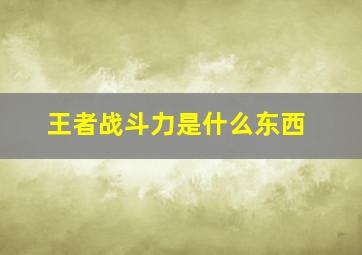 王者战斗力是什么东西