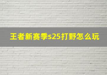 王者新赛季s25打野怎么玩