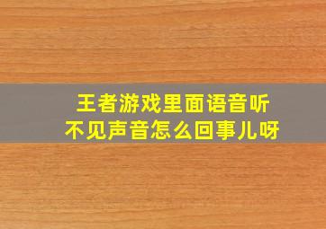 王者游戏里面语音听不见声音怎么回事儿呀