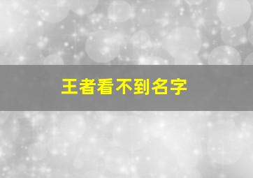 王者看不到名字