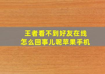 王者看不到好友在线怎么回事儿呢苹果手机