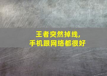 王者突然掉线,手机跟网络都很好