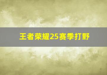 王者荣耀25赛季打野