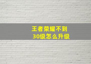 王者荣耀不到30级怎么升级