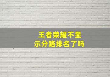 王者荣耀不显示分路排名了吗