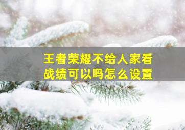 王者荣耀不给人家看战绩可以吗怎么设置