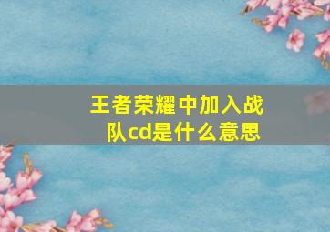 王者荣耀中加入战队cd是什么意思