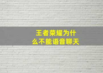 王者荣耀为什么不能语音聊天