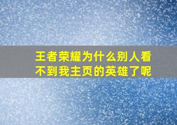 王者荣耀为什么别人看不到我主页的英雄了呢