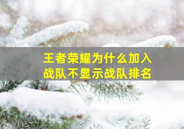 王者荣耀为什么加入战队不显示战队排名