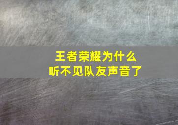 王者荣耀为什么听不见队友声音了