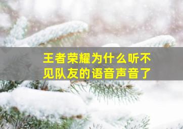 王者荣耀为什么听不见队友的语音声音了