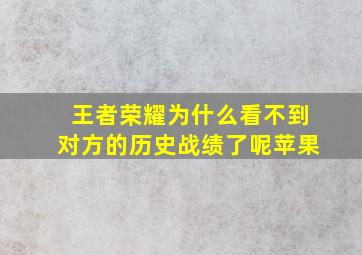 王者荣耀为什么看不到对方的历史战绩了呢苹果