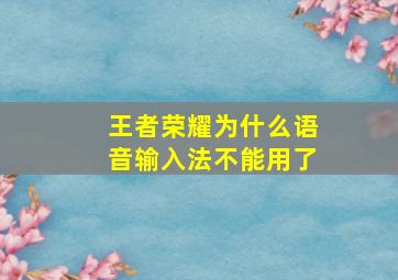 王者荣耀为什么语音输入法不能用了