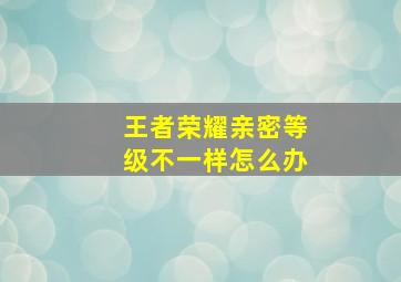 王者荣耀亲密等级不一样怎么办