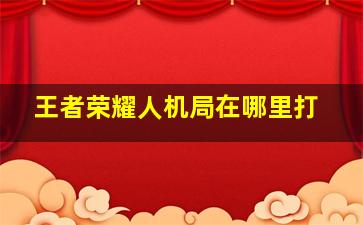 王者荣耀人机局在哪里打