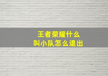 王者荣耀什么叫小队怎么退出