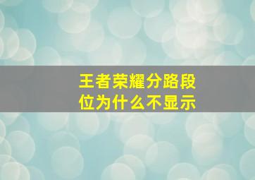 王者荣耀分路段位为什么不显示