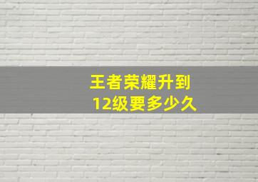 王者荣耀升到12级要多少久