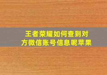 王者荣耀如何查到对方微信账号信息呢苹果