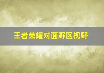 王者荣耀对面野区视野