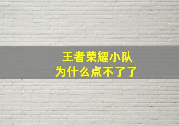 王者荣耀小队为什么点不了了