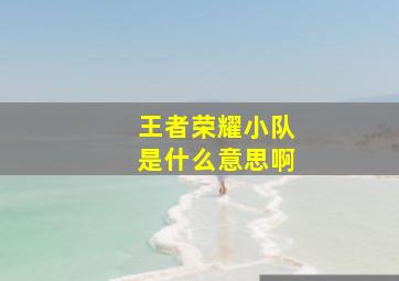 王者荣耀小队是什么意思啊