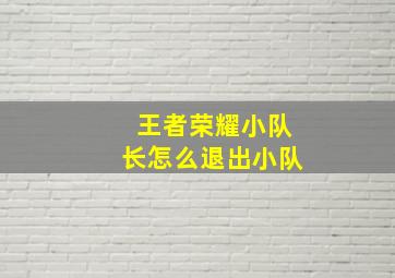 王者荣耀小队长怎么退出小队