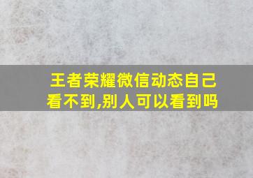 王者荣耀微信动态自己看不到,别人可以看到吗