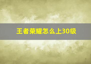 王者荣耀怎么上30级