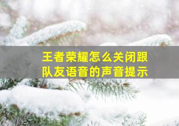 王者荣耀怎么关闭跟队友语音的声音提示