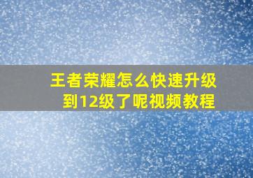 王者荣耀怎么快速升级到12级了呢视频教程