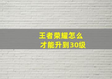 王者荣耀怎么才能升到30级