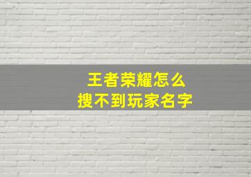 王者荣耀怎么搜不到玩家名字