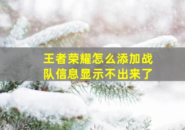 王者荣耀怎么添加战队信息显示不出来了