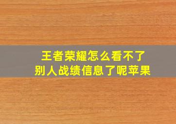 王者荣耀怎么看不了别人战绩信息了呢苹果