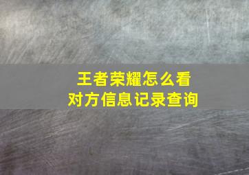 王者荣耀怎么看对方信息记录查询