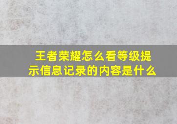 王者荣耀怎么看等级提示信息记录的内容是什么