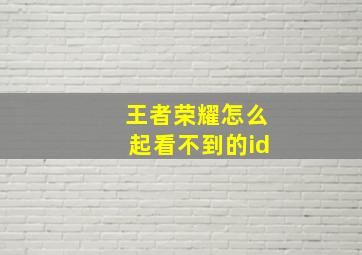 王者荣耀怎么起看不到的id