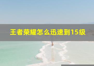 王者荣耀怎么迅速到15级