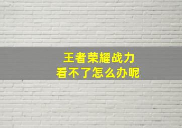 王者荣耀战力看不了怎么办呢