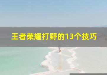 王者荣耀打野的13个技巧