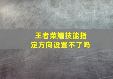 王者荣耀技能指定方向设置不了吗