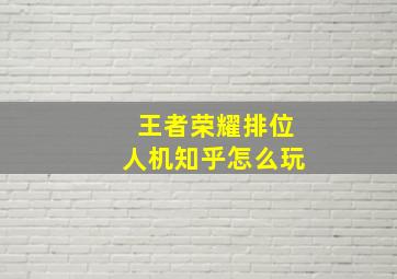 王者荣耀排位人机知乎怎么玩