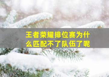 王者荣耀排位赛为什么匹配不了队伍了呢