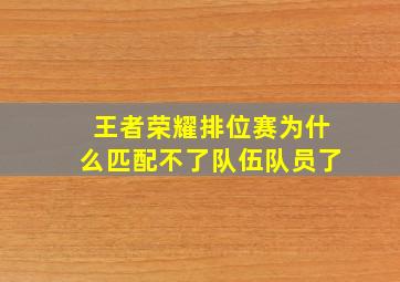 王者荣耀排位赛为什么匹配不了队伍队员了