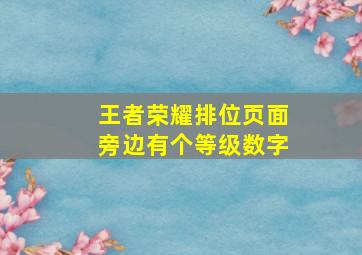 王者荣耀排位页面旁边有个等级数字