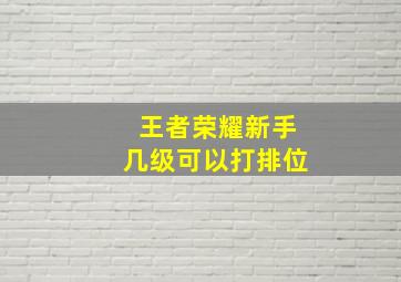 王者荣耀新手几级可以打排位