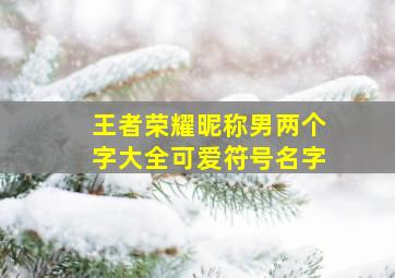 王者荣耀昵称男两个字大全可爱符号名字