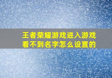 王者荣耀游戏进入游戏看不到名字怎么设置的